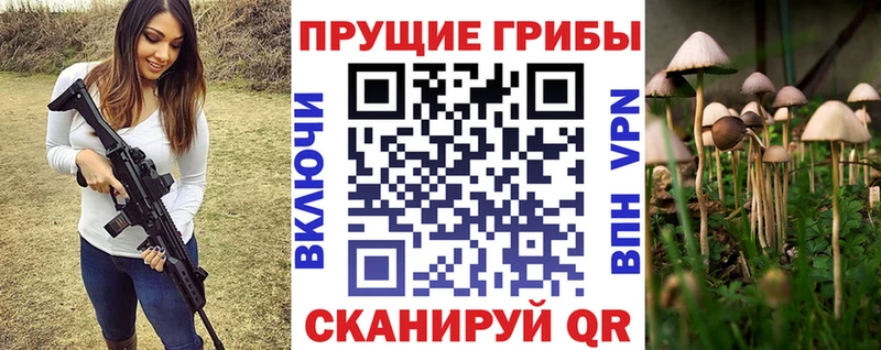 Галлюциногенные грибы Psilocybine cubensis Шадринск