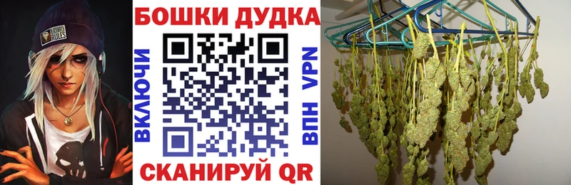 блэк спрут как войти  Шадринск  Бошки марихуана план  купить  
